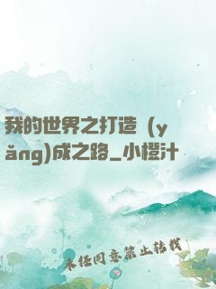 我的世界之打造養(yǎng)成之路