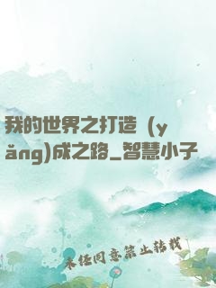 我的世界之打造養(yǎng)成之路