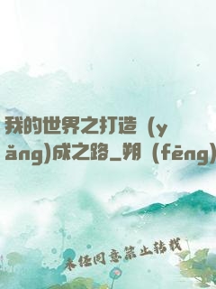 我的世界之打造養(yǎng)成之路