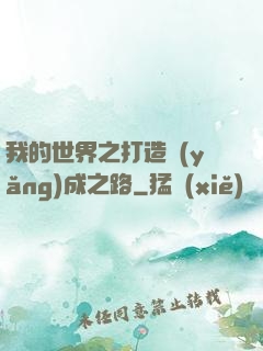 我的世界之打造養(yǎng)成之路