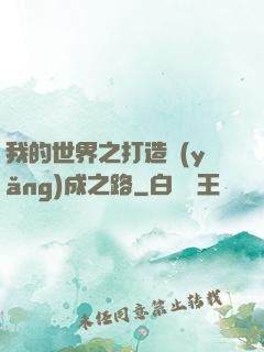 我的世界之打造養(yǎng)成之路