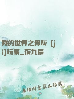 我的世界之骨灰級(jí)玩家