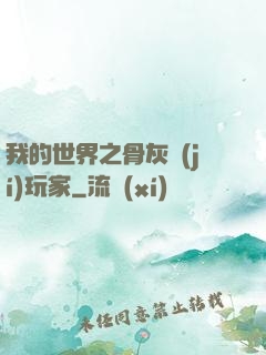 我的世界之骨灰級(jí)玩家