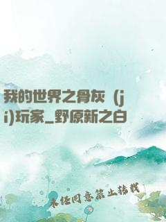 我的世界之骨灰級(jí)玩家