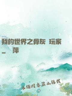 我的世界之骨灰級玩家