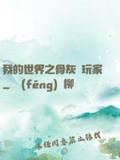 我的世界之骨灰級玩家