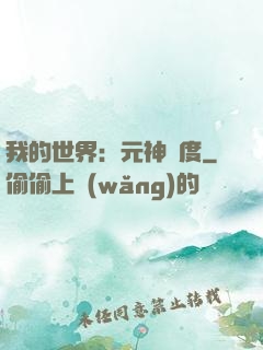 我的世界：元神國度