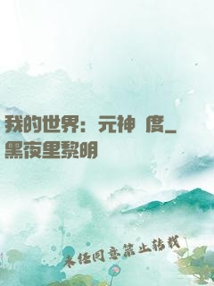 我的世界：元神國度