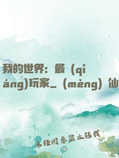 我的世界：最強(qiáng)玩家