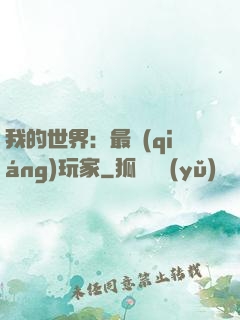 我的世界：最強(qiáng)玩家