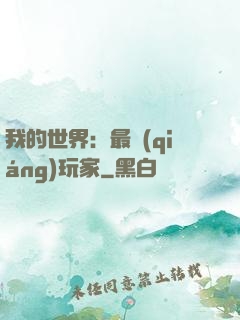 我的世界：最強(qiáng)玩家
