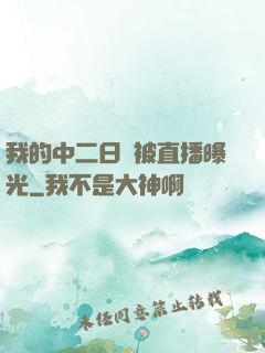 我的中二日記被直播曝光