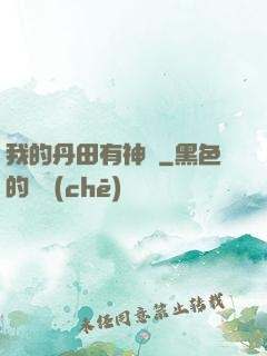我的丹田有神劍