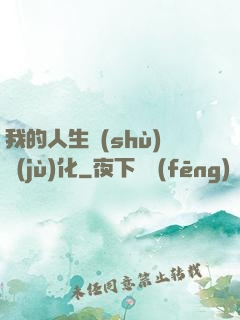 我的人生數(shù)據(jù)化