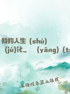 我的人生數(shù)據(jù)化