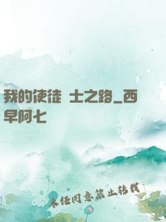 我的使徒劍士之路
