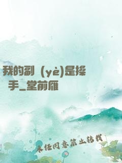 我的副業(yè)是操盤手