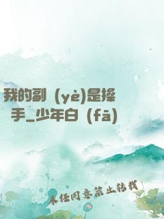 我的副業(yè)是操盤手