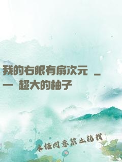 我的右眼有扇次元門