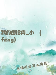 我的唐僧肉