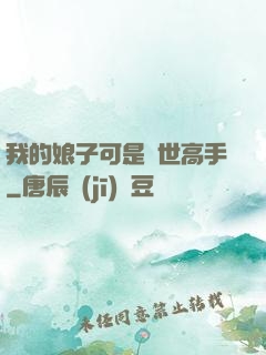 我的娘子可是絕世高手