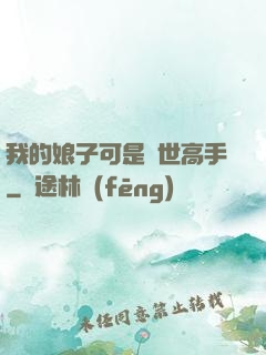 我的娘子可是絕世高手