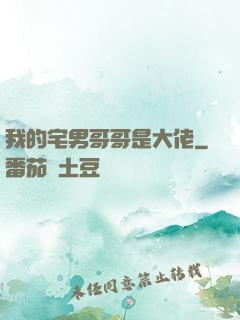 我的宅男哥哥是大佬