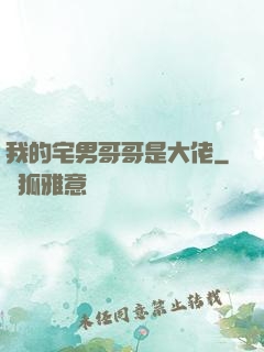 我的宅男哥哥是大佬