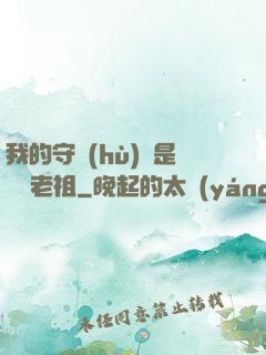 我的守護(hù)靈是鴻鈞老祖