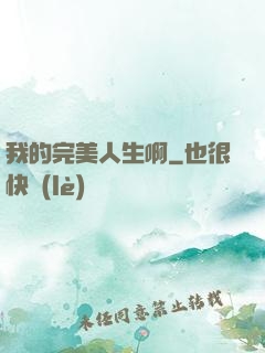 我的完美人生啊