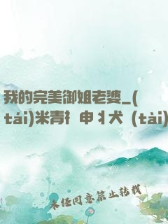 我的完美御姐老婆