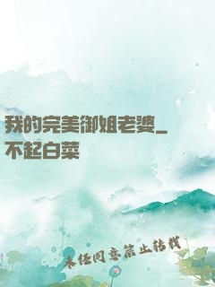 我的完美御姐老婆