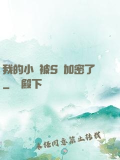 我的小說被S級加密了
