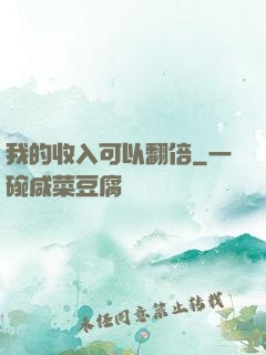 我的收入可以翻倍