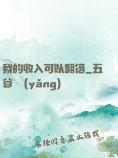 我的收入可以翻倍