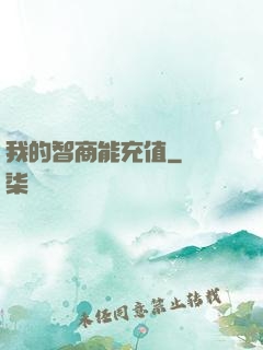 我的智商能充值