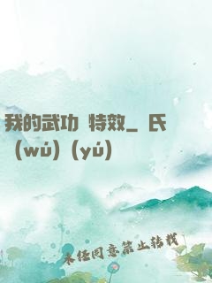 我的武功帶特效