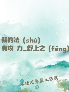 我的法術(shù)沒有攻擊力