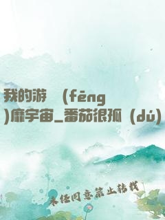 我的游戲風(fēng)靡宇宙