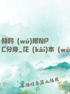 我的無(wú)限NPC分身
