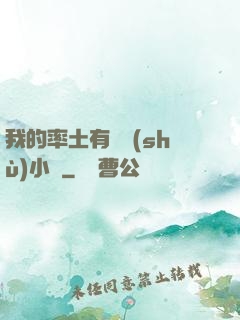 我的率土有無數(shù)小號