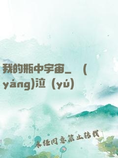 我的瓶中宇宙