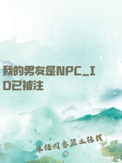 我的男友是NPC