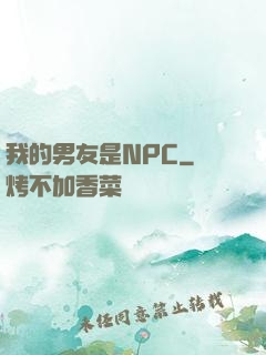 我的男友是NPC