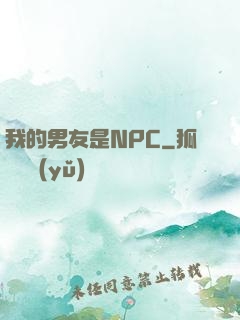 我的男友是NPC