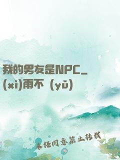 我的男友是NPC