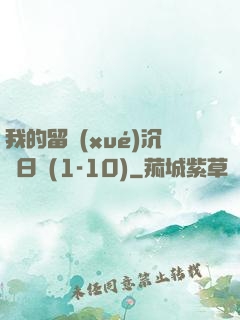 我的留學(xué)沉淪日記(1-10)
