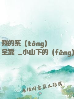 我的系統(tǒng)全靠編