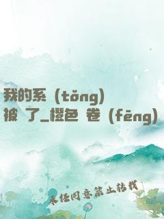 我的系統(tǒng)被搶了