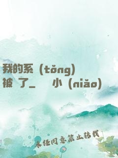 我的系統(tǒng)被搶了